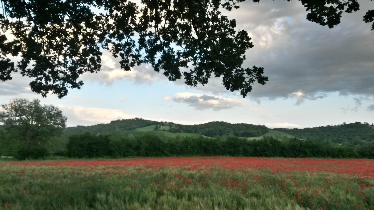 L'Incanto Montalcino Ngoại thất bức ảnh